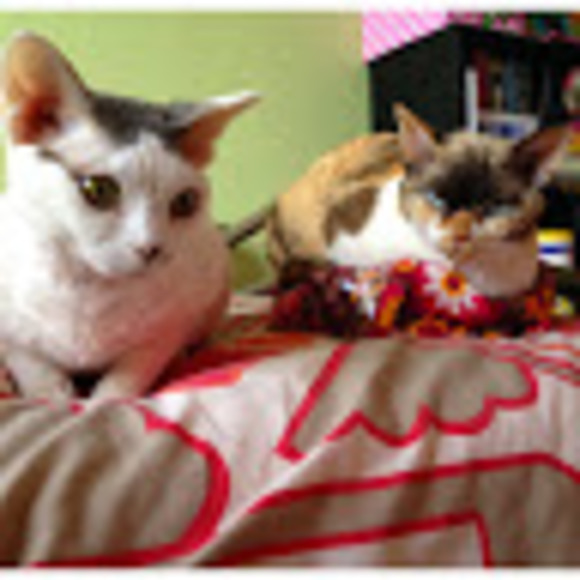 Meet your Posher, Ruthie - Picture 1 of 1